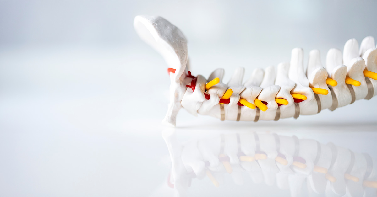 artificial cervical disc artificial cervical disc